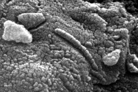 Struktury v meteoritu z Marsu zřejmě bakterie pouze připomínají.